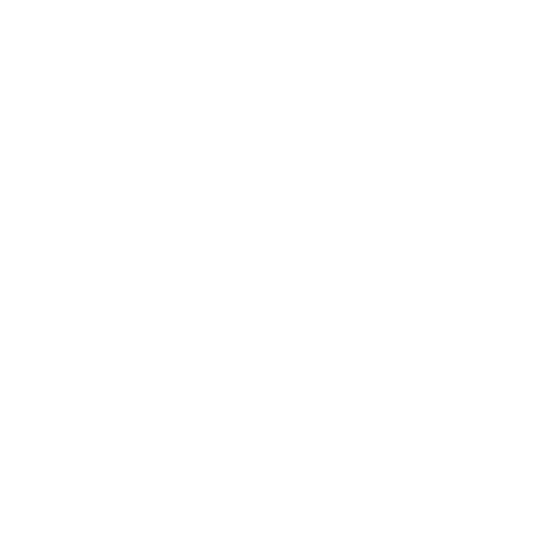 Boksen, kickboksen & MMA